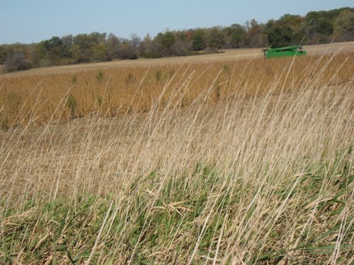 Property photo 31 - 110+/- Acres offered in 4 Tillable Tracts